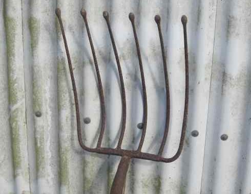 root crop fork